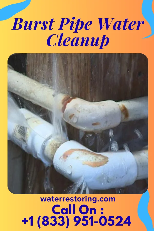 Burst Pipe Water Cleanup in Stratford, WI