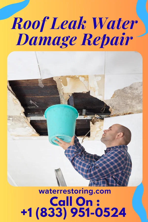 Roof Leak Water Damage Repair in Stratford, WI