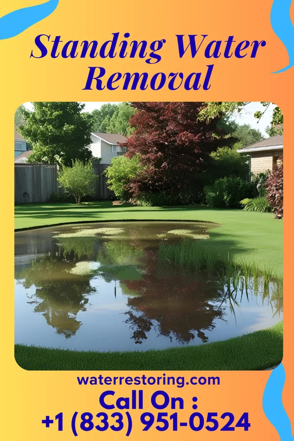 Standing Water Removal in Stratford, WI